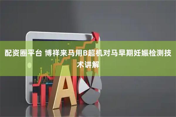 配资圈平台 博祥来马用B超机对马早期妊娠检测技术讲解