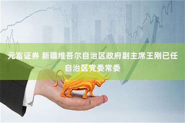 元富证券 新疆维吾尔自治区政府副主席王刚已任自治区党委常委